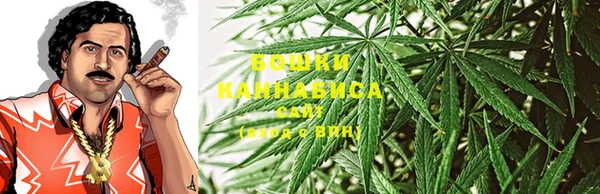 гашик Бронницы