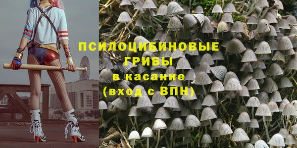 гашик Бронницы