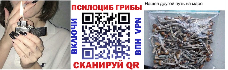 даркнет формула  Городище  Псилоцибиновые грибы Psilocybe 