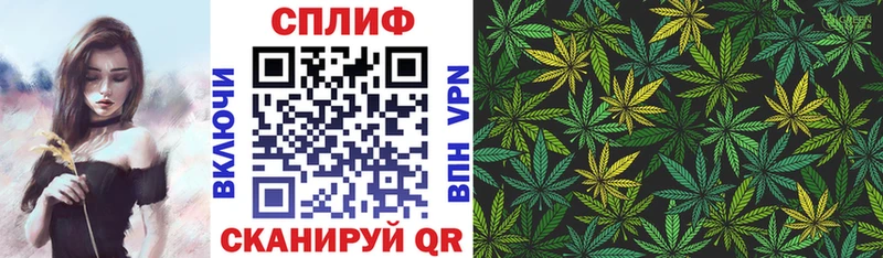 блэк спрут tor  закладки  Городище  Бошки марихуана конопля 